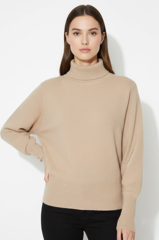 Turtleneck Knit Sweater
