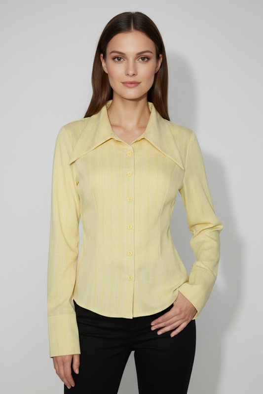 Fitted Long Sleeve Button-Up Shirt