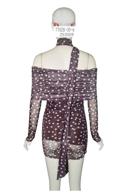 Polka Dot Off-Shoulder Mesh Dress